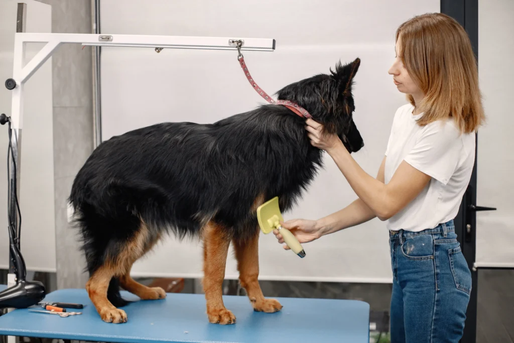 Dog Breeds