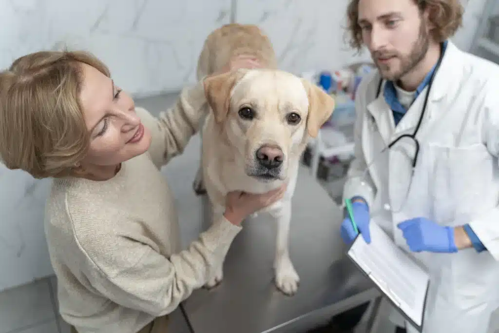 Disease in Dogs