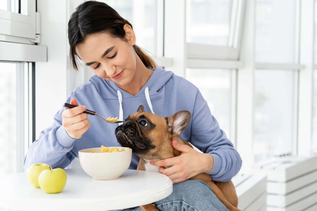 Feed a Dog