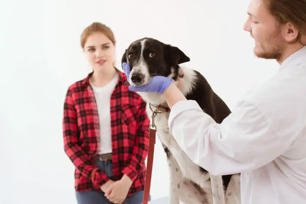 Treat a Dog