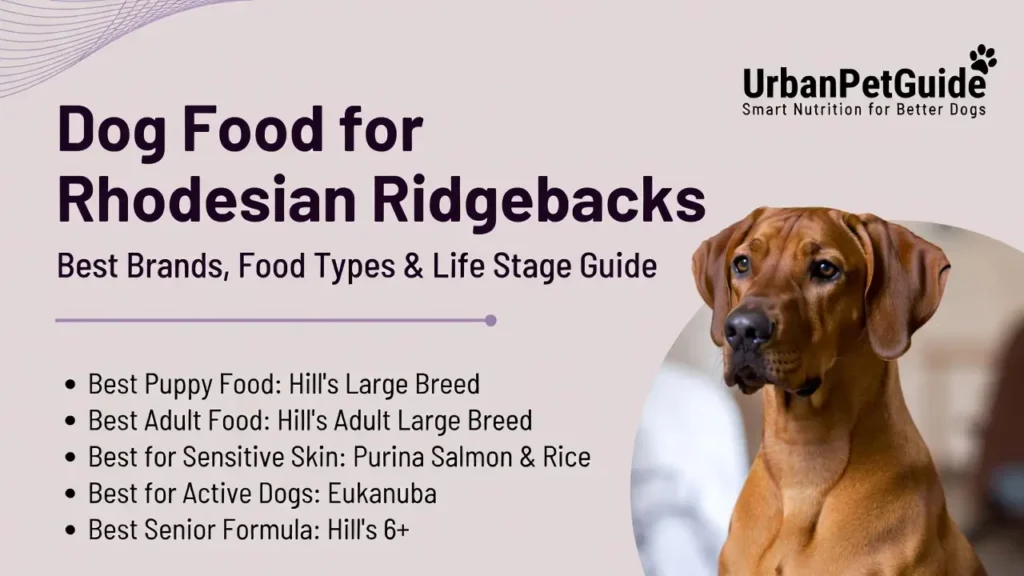 Rhodesian Ridgebacks